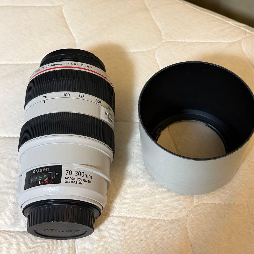 【レッド】Canon EF 70-300mm f/4-5.6 Lレンズ