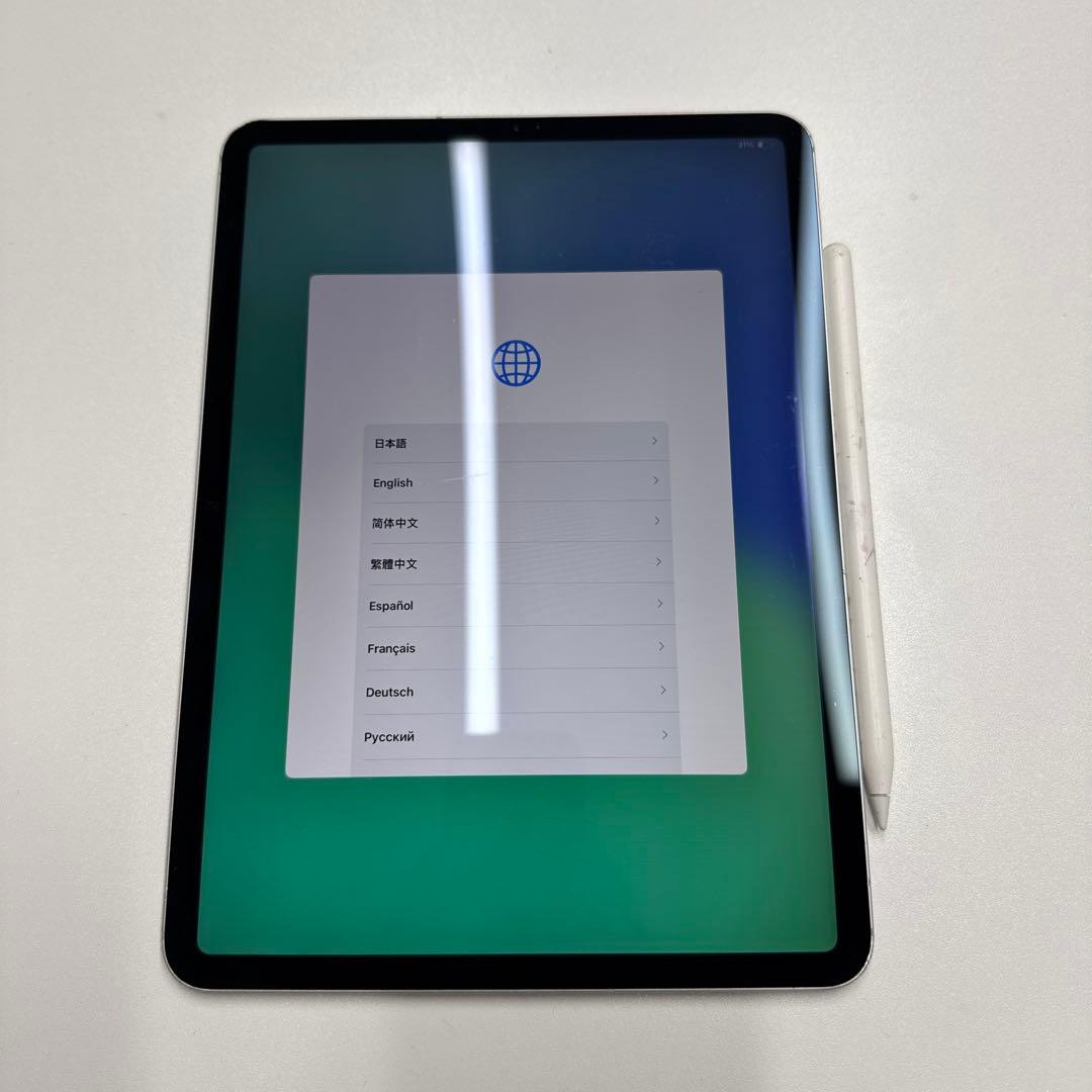 284）iPad PRO 11インチ 第1世代 256GB MU172J/A
