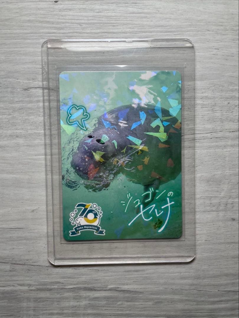 鳥羽水族館　コレクションカード　メイちゃんとポテト他4枚セット