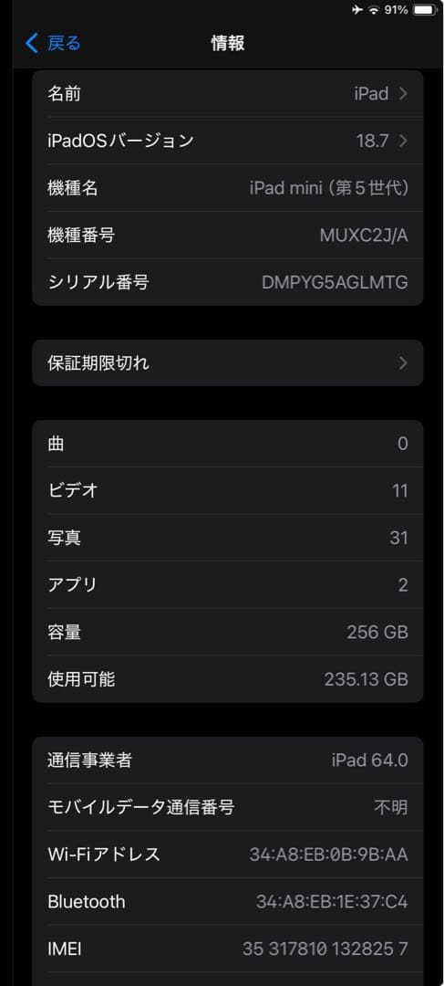 iPad mini (第5世代) 256GB スペースグレー