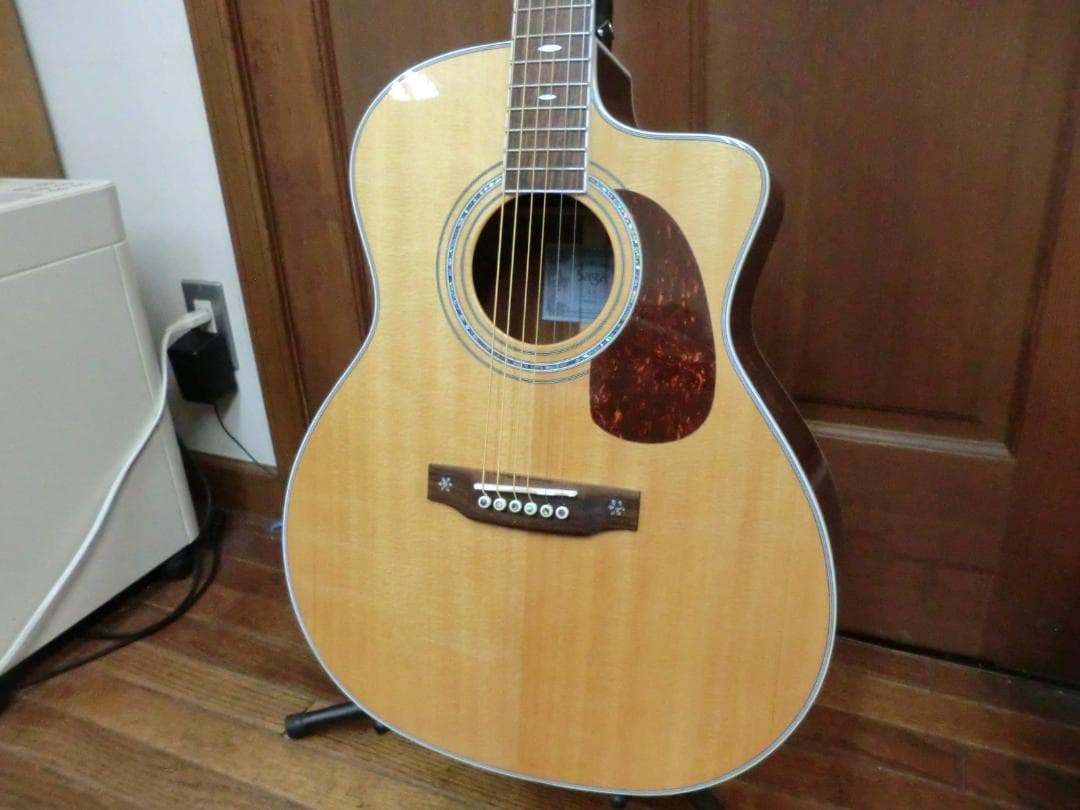 Saga A1G-C オール単板