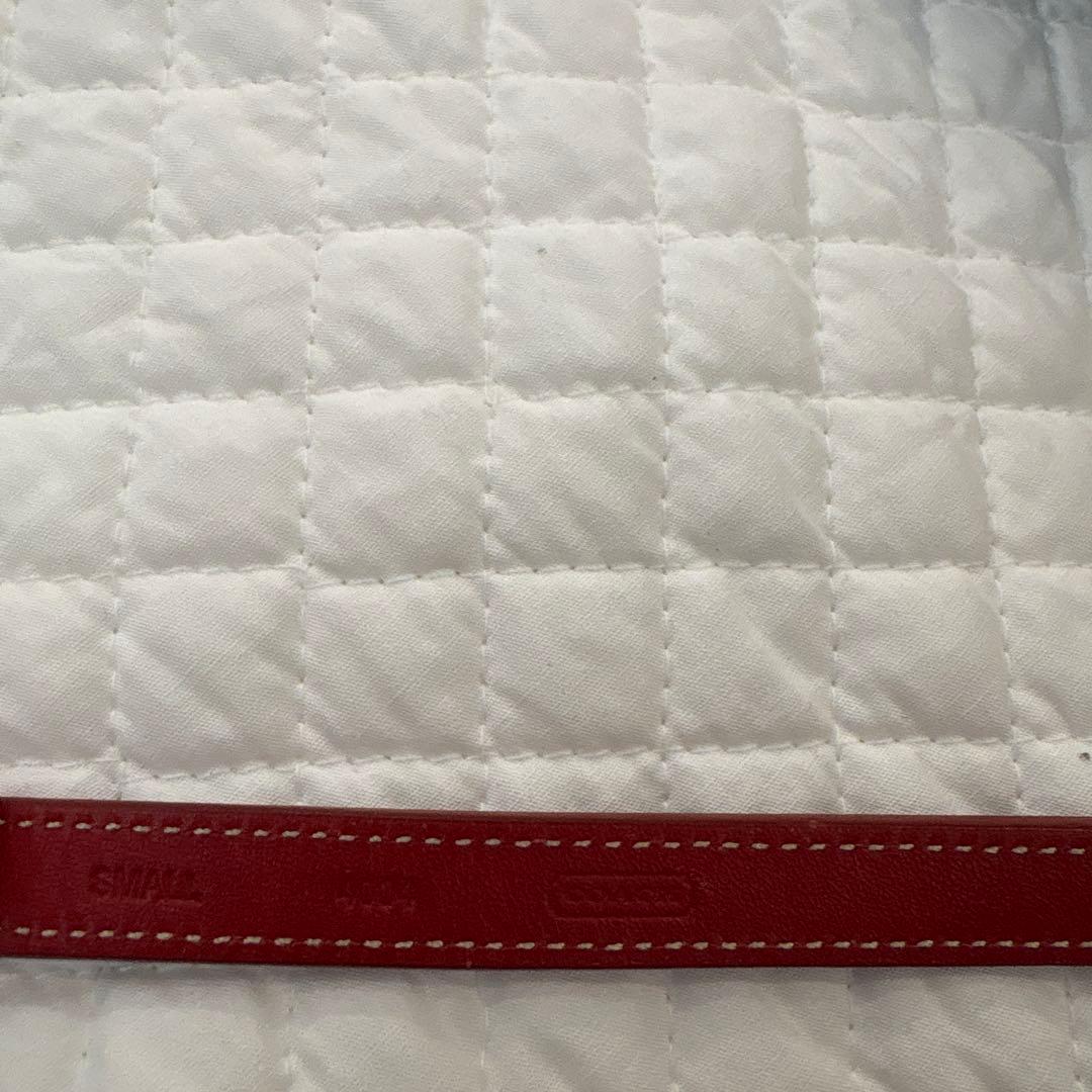 rarayan coach 首輪・リード　オールレザー　レッド