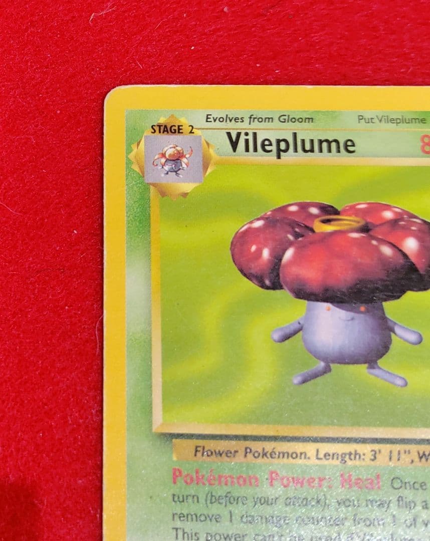 ポケカ　英語版　ラフレシア　海外版　 ポケモンカード　 カード　 昔　 貴重