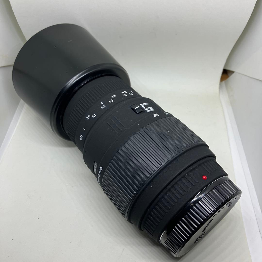 SIGMA 70-300mm F4-5.6 DG SONY用になります。