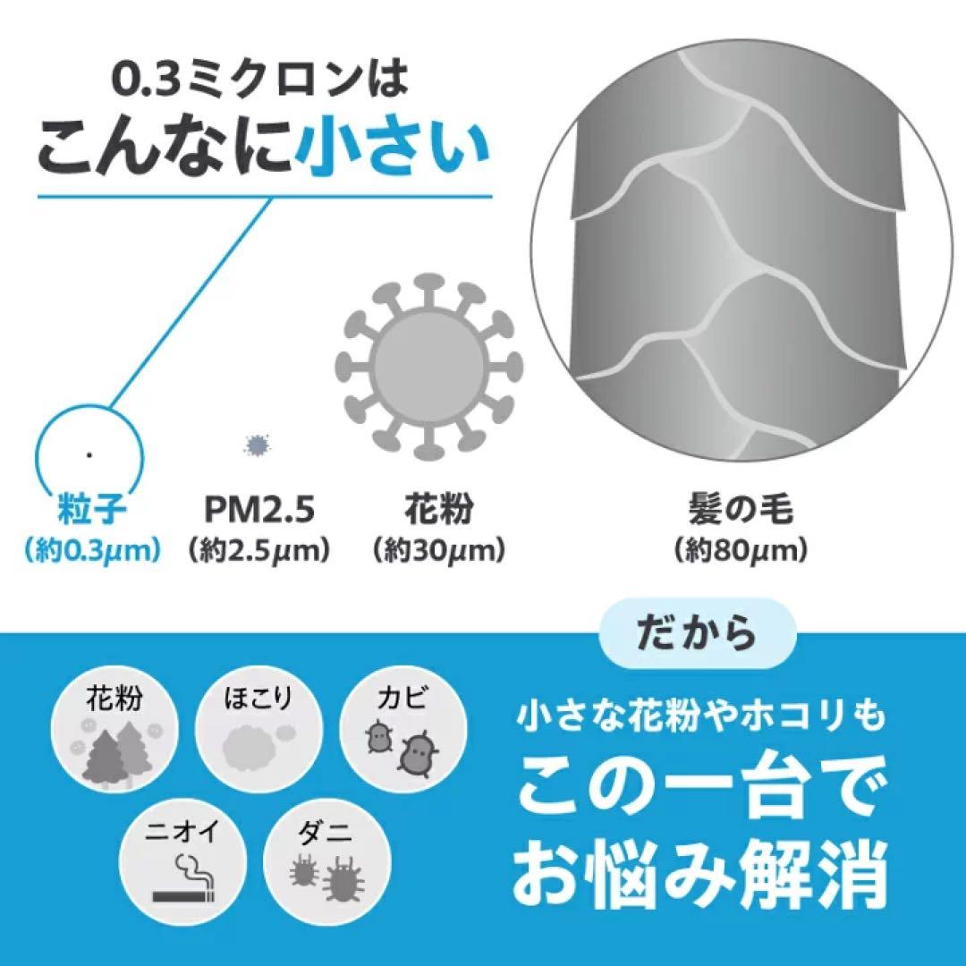 ツインバード空気清浄機　LAC-5943