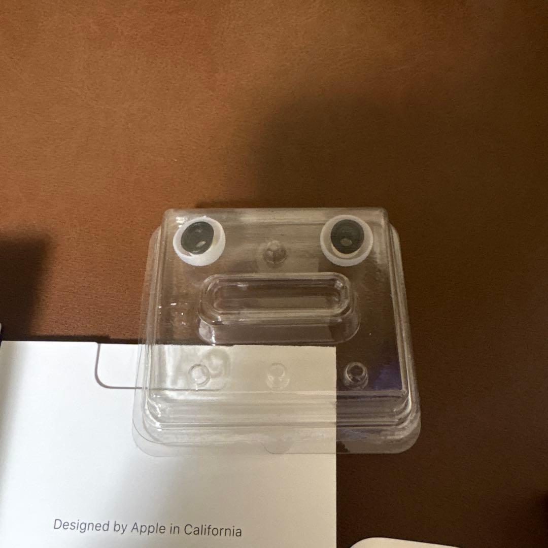 Apple AirPods Pro 2 本体+イヤーパッド+ケーブル