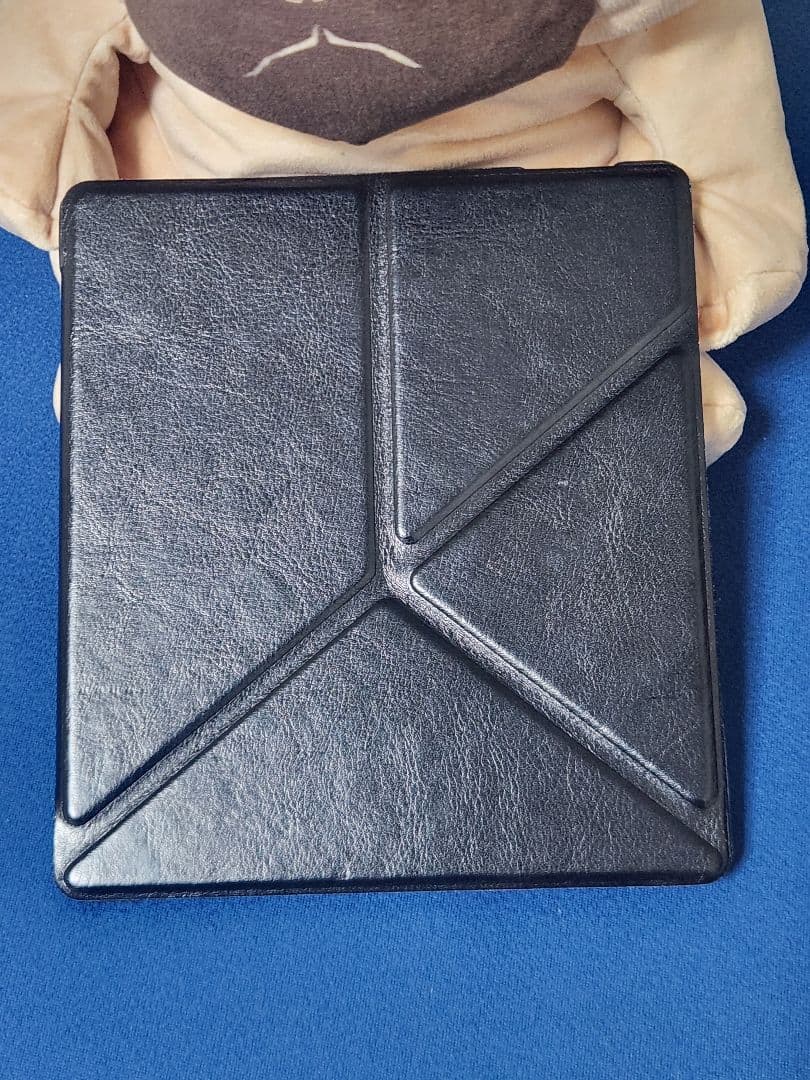 【値下げ️⭕️】Kindle Oasis 32GB 防水 広告なし ケース付き