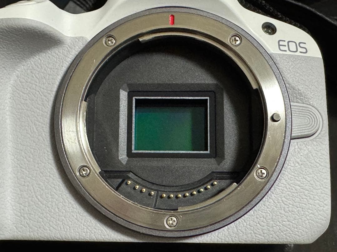 EOS R50 ダブルズームキット
