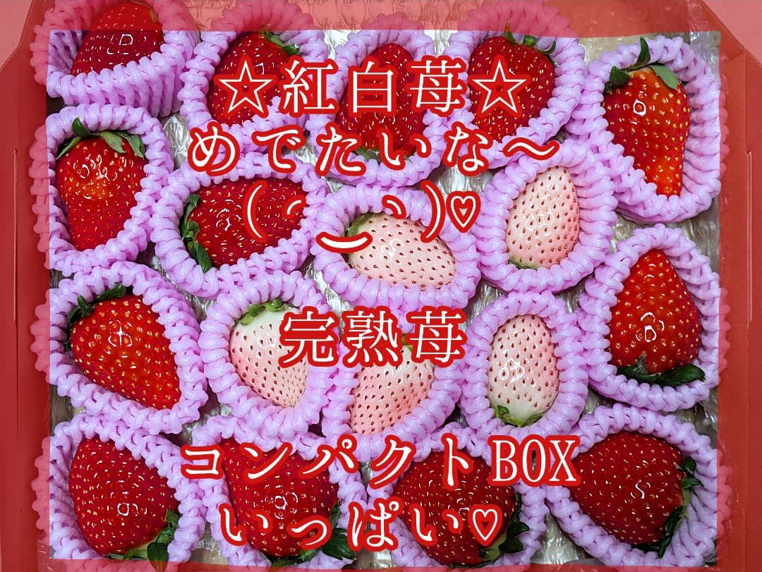 める♡紅白苺１箱♡赤苺３箱♡