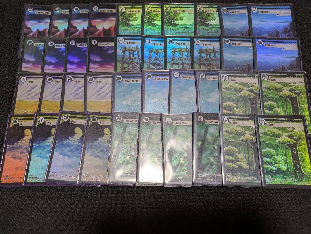 アニマルカードゲーム　領土カードセット