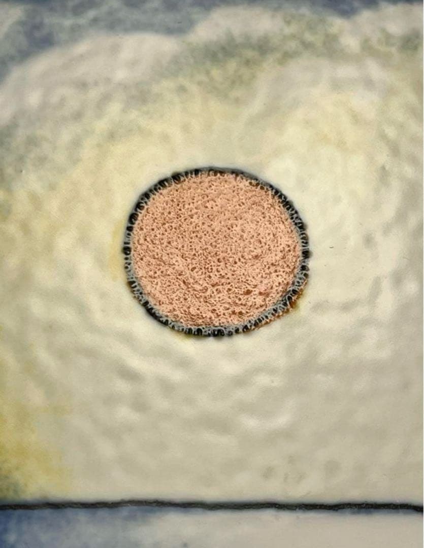 ARABIA アラビア ヘルヤ 四季の陶板画(大) \"Kesä\"