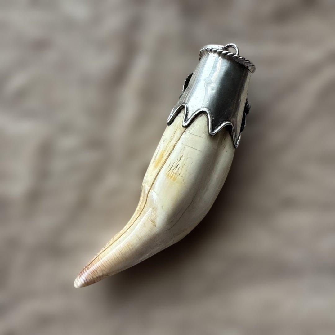 NYさま専用出品です, 熊の牙のトップ。