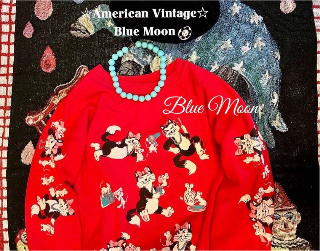 WiLLAmerican Vintage☆❤︎スウェットトレーナー✴︎希少