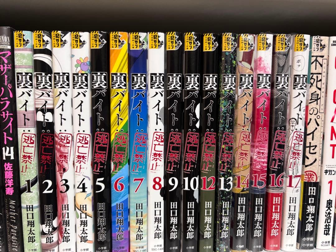 裏バイト 逃亡禁止　不死身のパイセン＋全17巻 【11巻無し】田中翔太郎