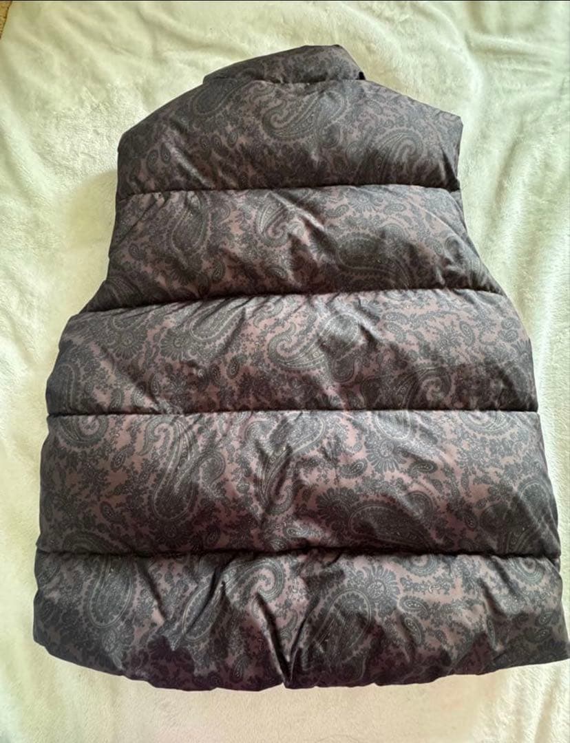 美品　カーハートwip spring field ダウンベスト　ペイズリー