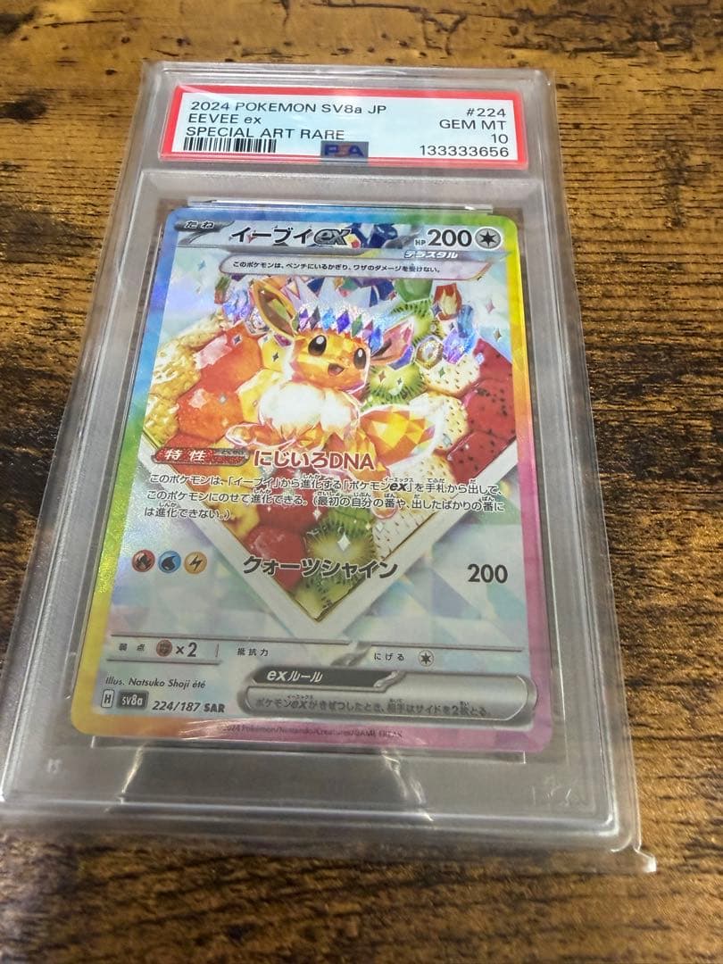 イーブイSARpsa10