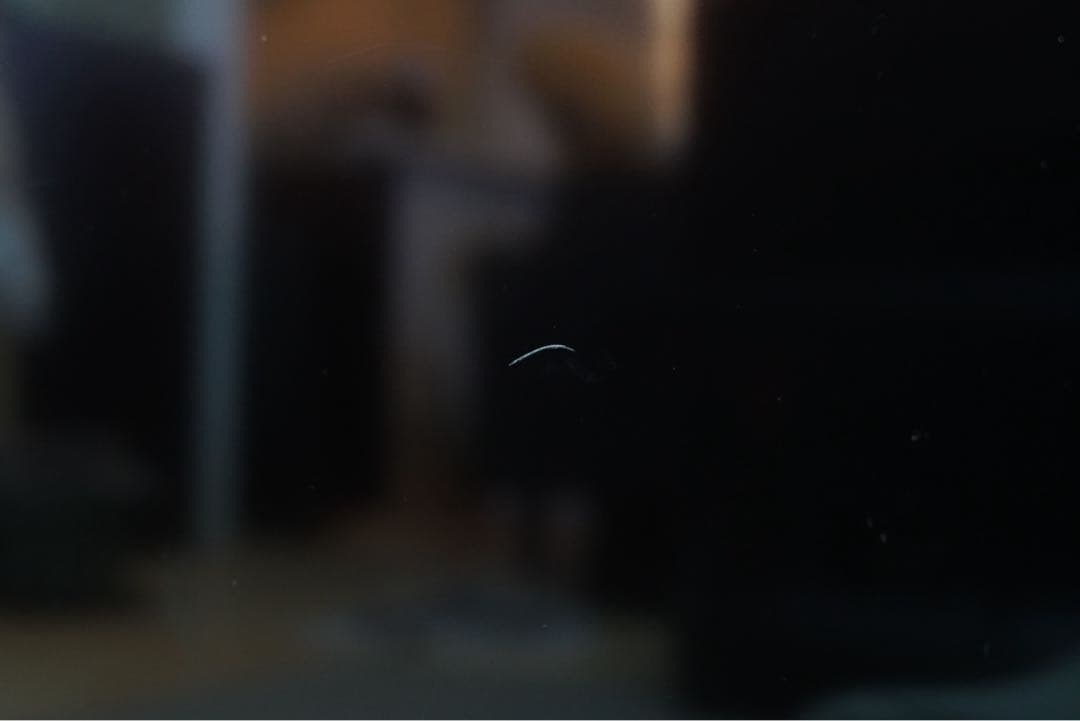 Panasonic VIERA TH-55GX755 4K 液晶 スマートテレビ