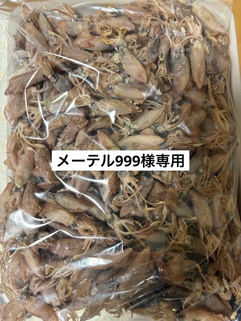 メーテル999　いか煮干し500g×3袋