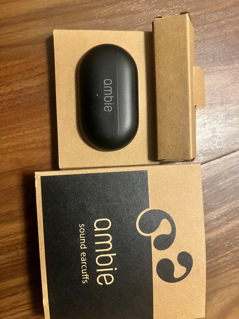 ambie sound earcurfs AM- TW02ブラック