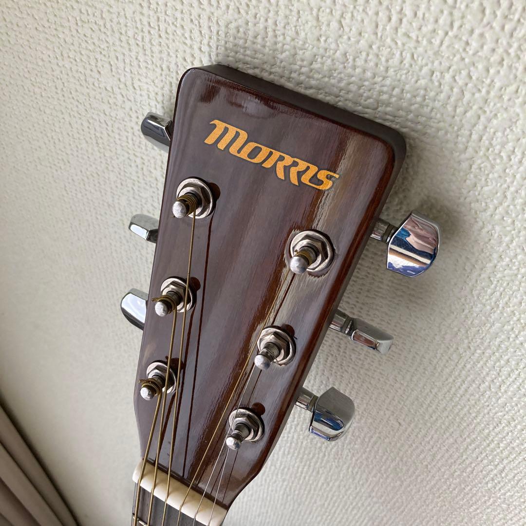 Morris MD-256TS アコースティックギター