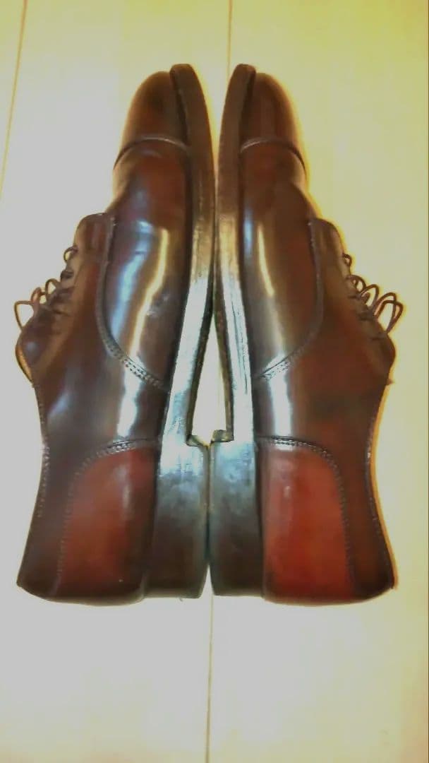 Alden2160シェルコードバン ストレートチップキャップトゥ9Dバーガンディ