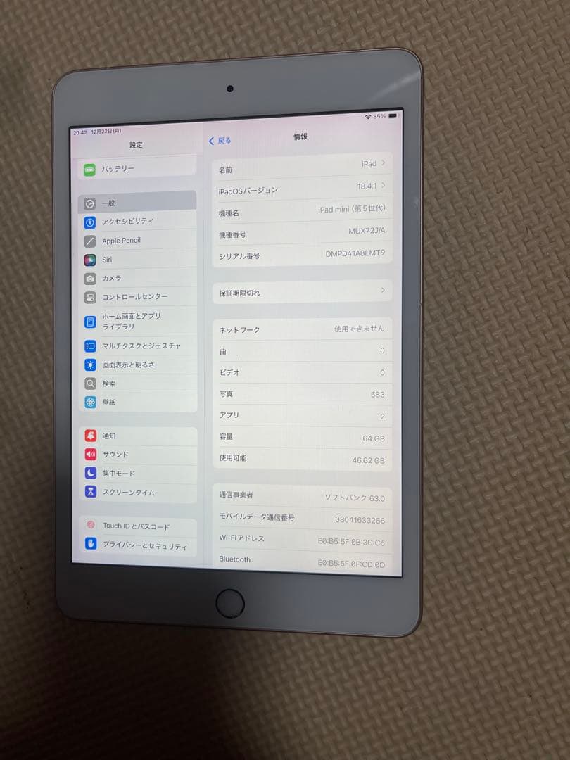 Apple iPad mini 第5世代64GBゴールド