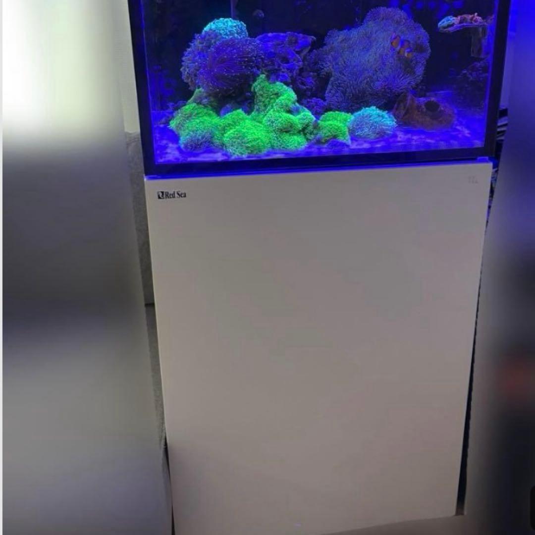 Redsea REEFER 170 G2+ 下