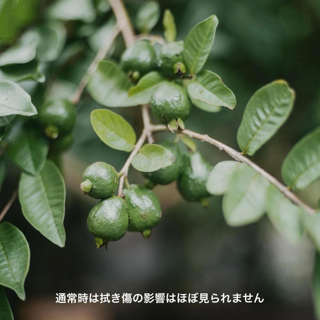 レンズ(単焦点) Mamiya sekor c 80mm f1.9