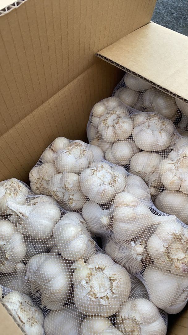 新物　青森県にんにく10Kg ＬＭ　激安