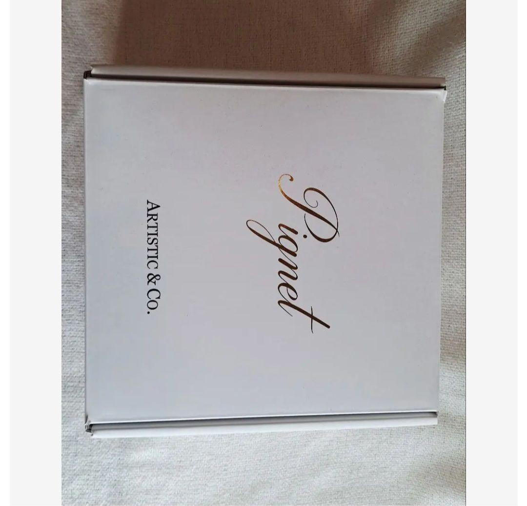 Pignet 美顔器■電気美容針/シミとり/導入