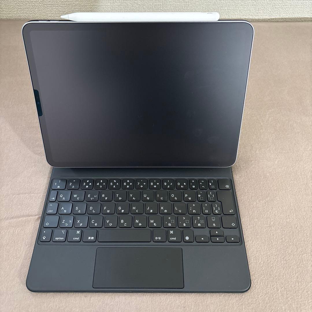 Apple iPad Pro 11インチ256GB +iPadPro セット