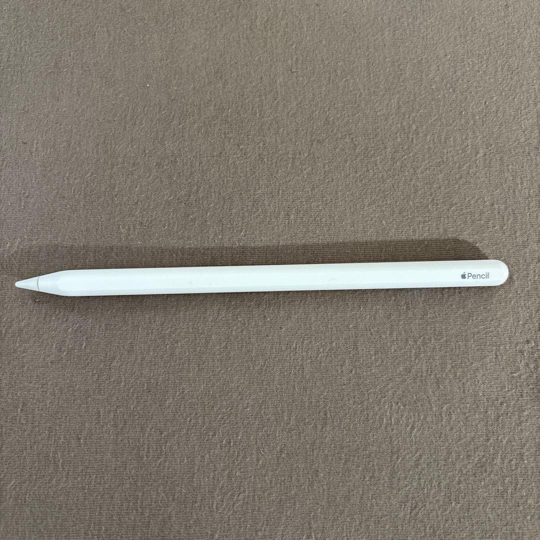 Apple iPad Pro 11インチ256GB +iPadPro セット