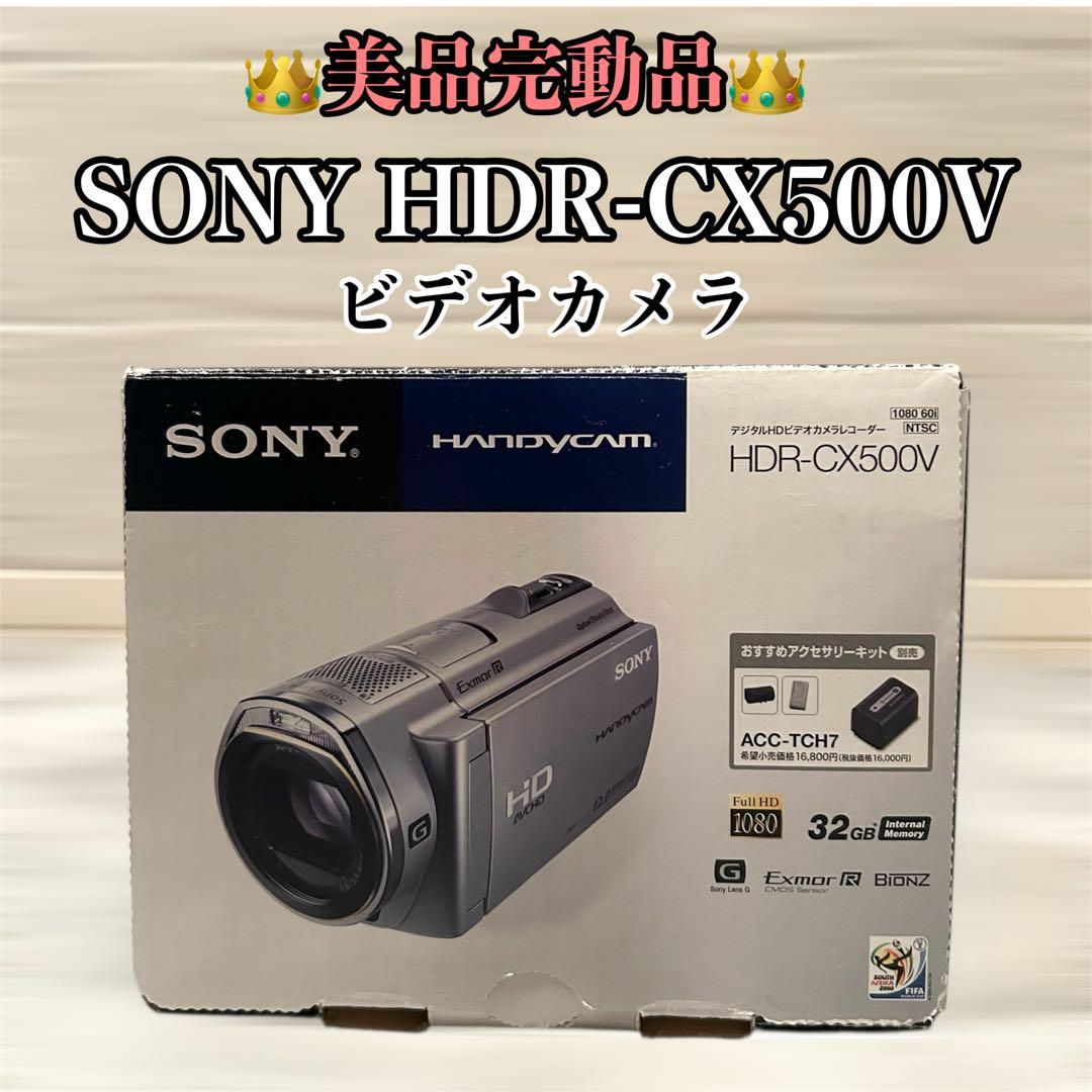 【動作確認済】SONY ソニー Handycam HDR-CX500V