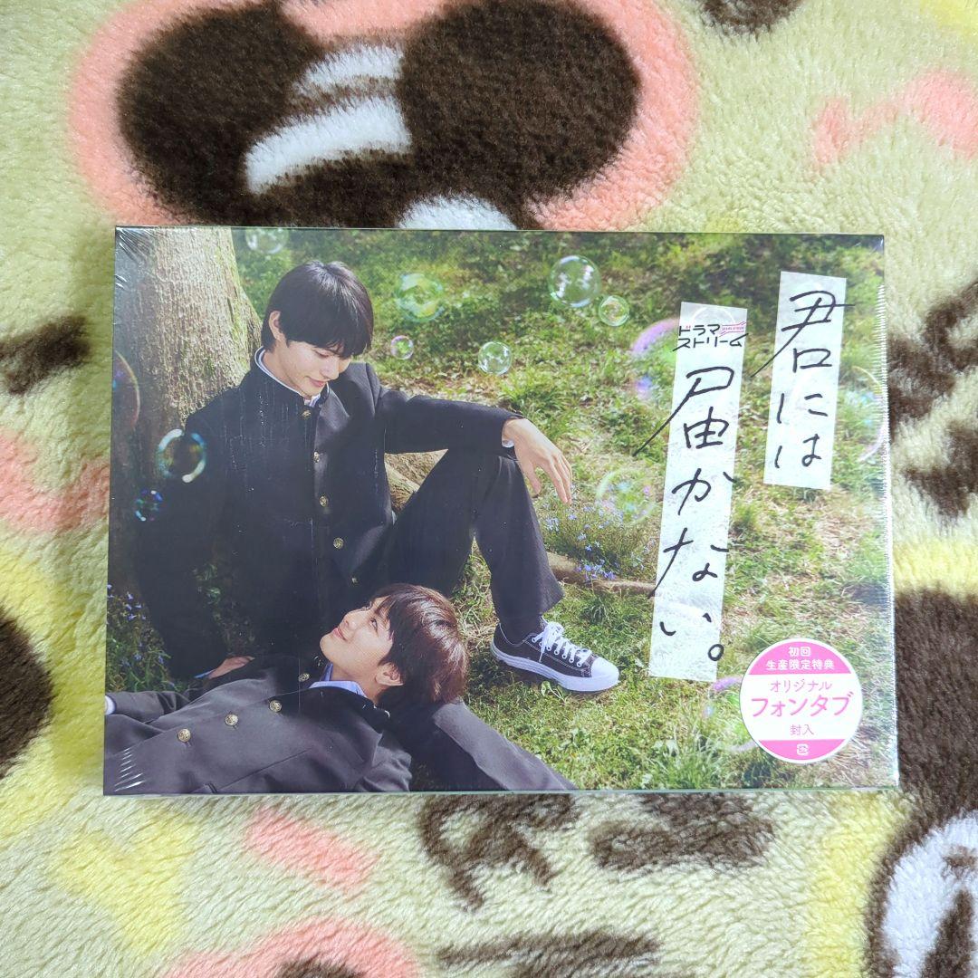 【新品】君には届かない DVD 初回生産限定特典付き おまけ付き