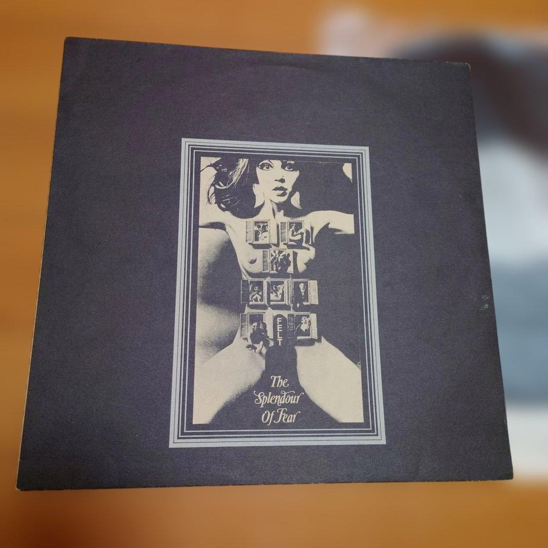 【人気盤】The splendour of fear / FELT UKオリジ！