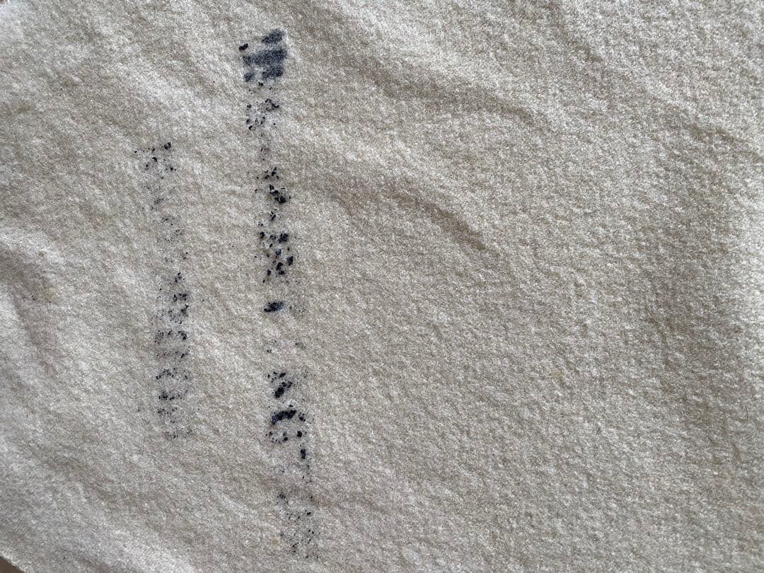 us navy 40s 40年代　海軍　ウールブランケット　ラグ　アイボリー