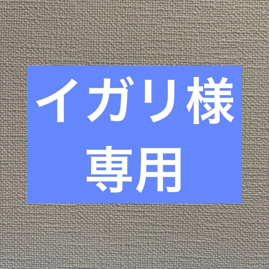 ドイツ製 elegante 布団カバー 枕カバー付 綿100％ 2点セット