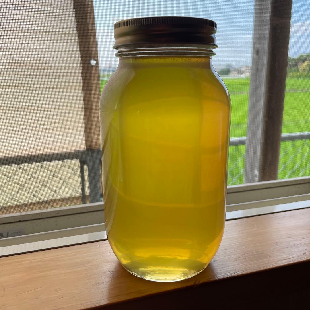 天然100%絞り立て生はちみつ　1.2Kg1個