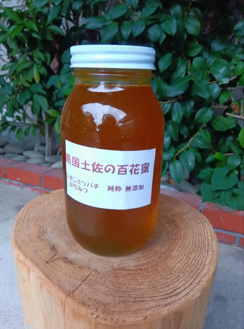南国土佐の百花蜜　 ニホンミツバチ蜂蜜 純粋　無加工　1170g1本