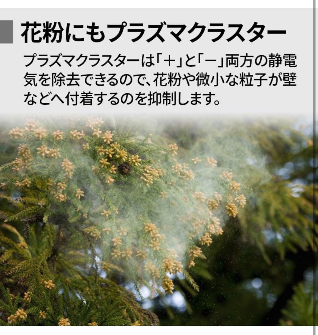 プラズマクラスター KC-S50-W 2025年製　シャープ