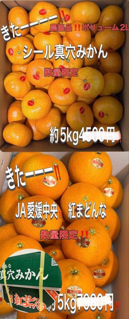 激安きたーー‼️最強コラボ‼️紅まどんな約5k真穴みかん約5kセット8888円2