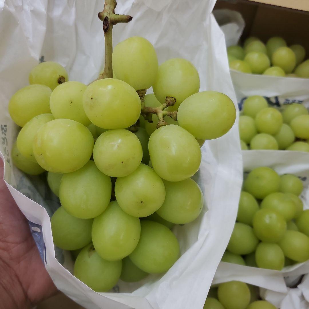 1⃣ 山梨県産 激甘シャインマスカット１０房入り 箱込み５キロ