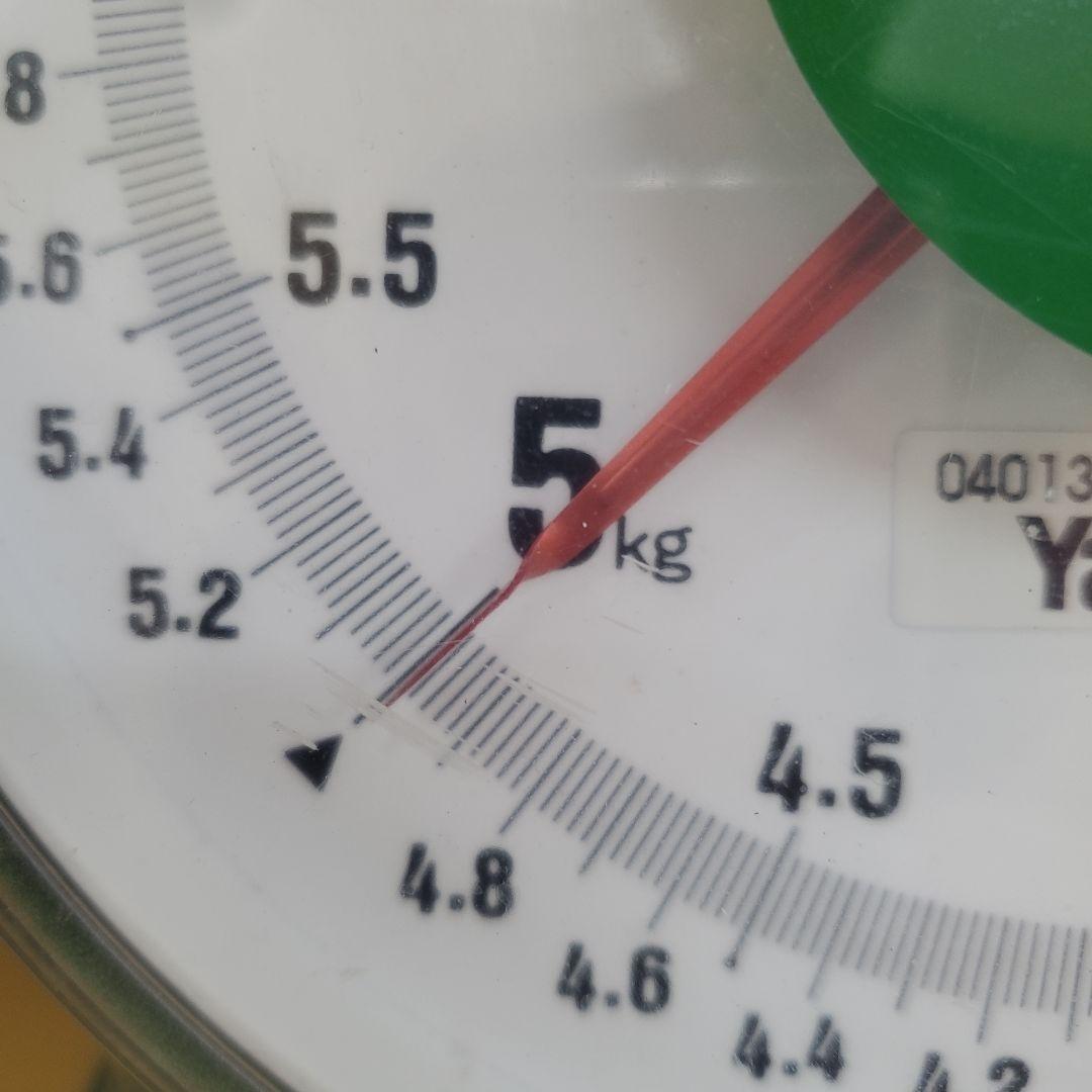 1⃣ 山梨県産 激甘シャインマスカット１０房入り 箱込み５キロ