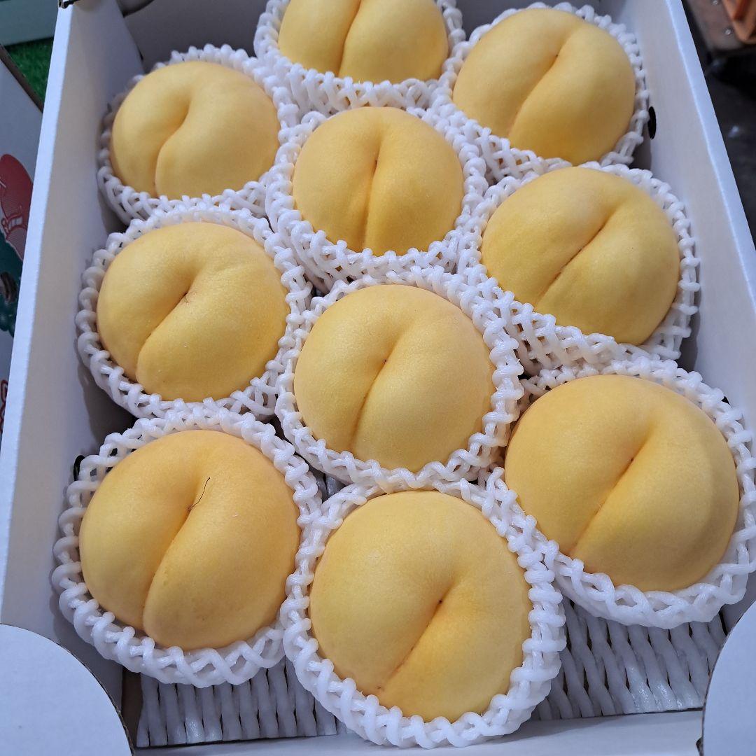 メンズ2児の母です。