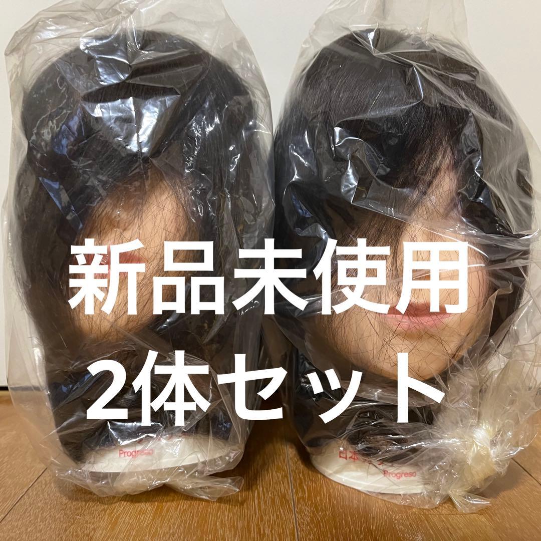 カットウィッグ　人毛100% プログレーソ 日本カットアカデミー 2体セット