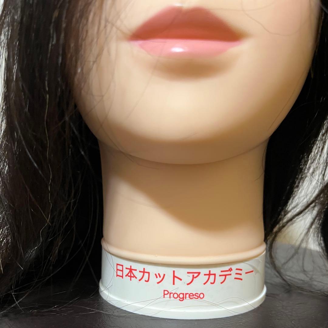 カットウィッグ　人毛100% プログレーソ 日本カットアカデミー 2体セット