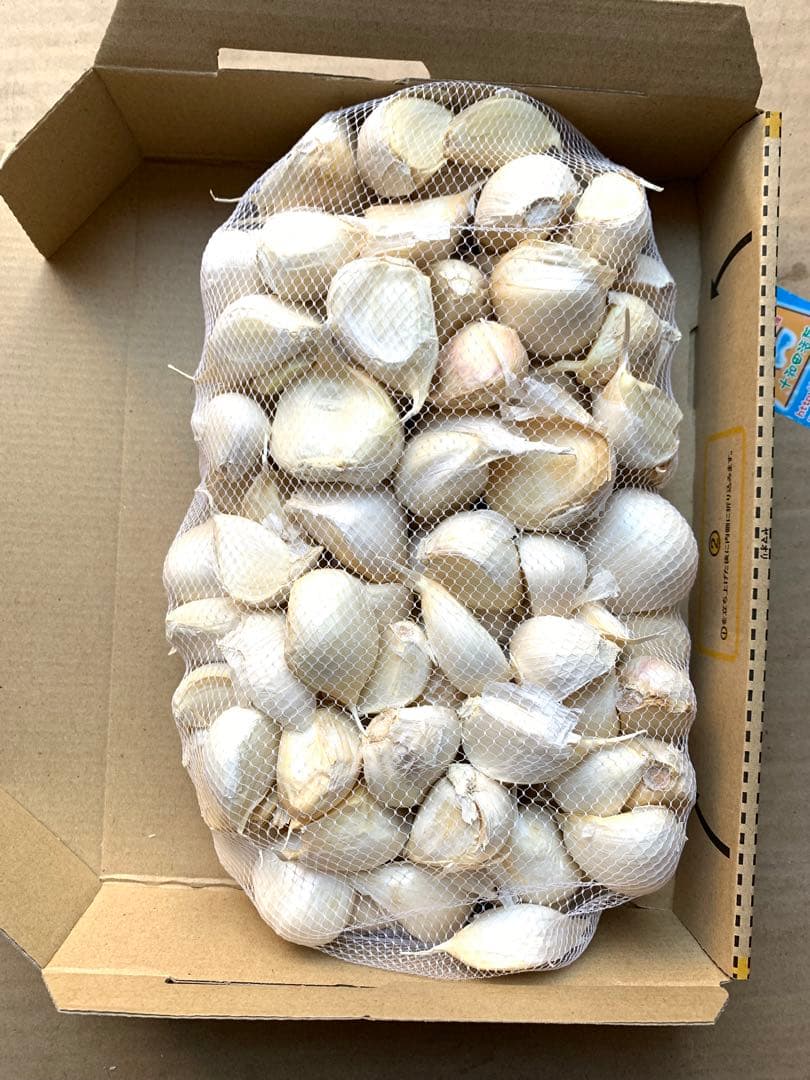 バラにんにく5キロ　粒不揃い　青森にんにく　ホワイト六片種にんにく　国産にんにく