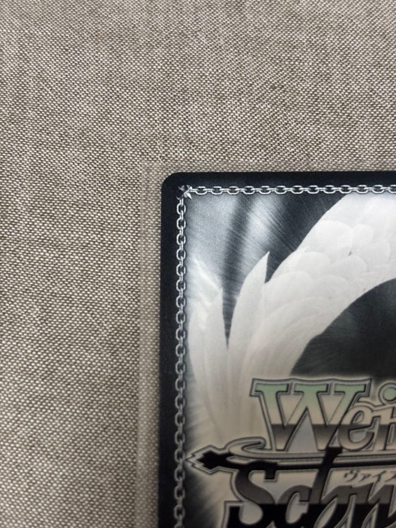 ヴァイスシュヴァルツ 彼女、お借りします 気持ちの正体 水原千鶴 SEC