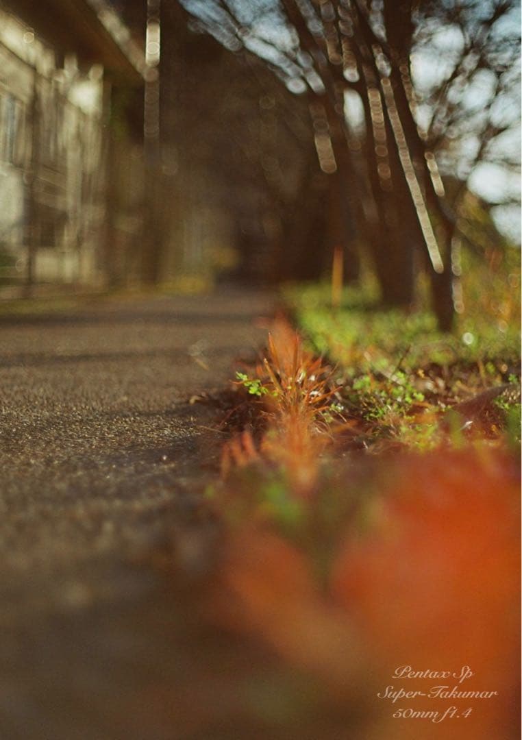 ★作例多数PENTAX SP/S.Takumarf1.4★完動品＊美品＊初期保証