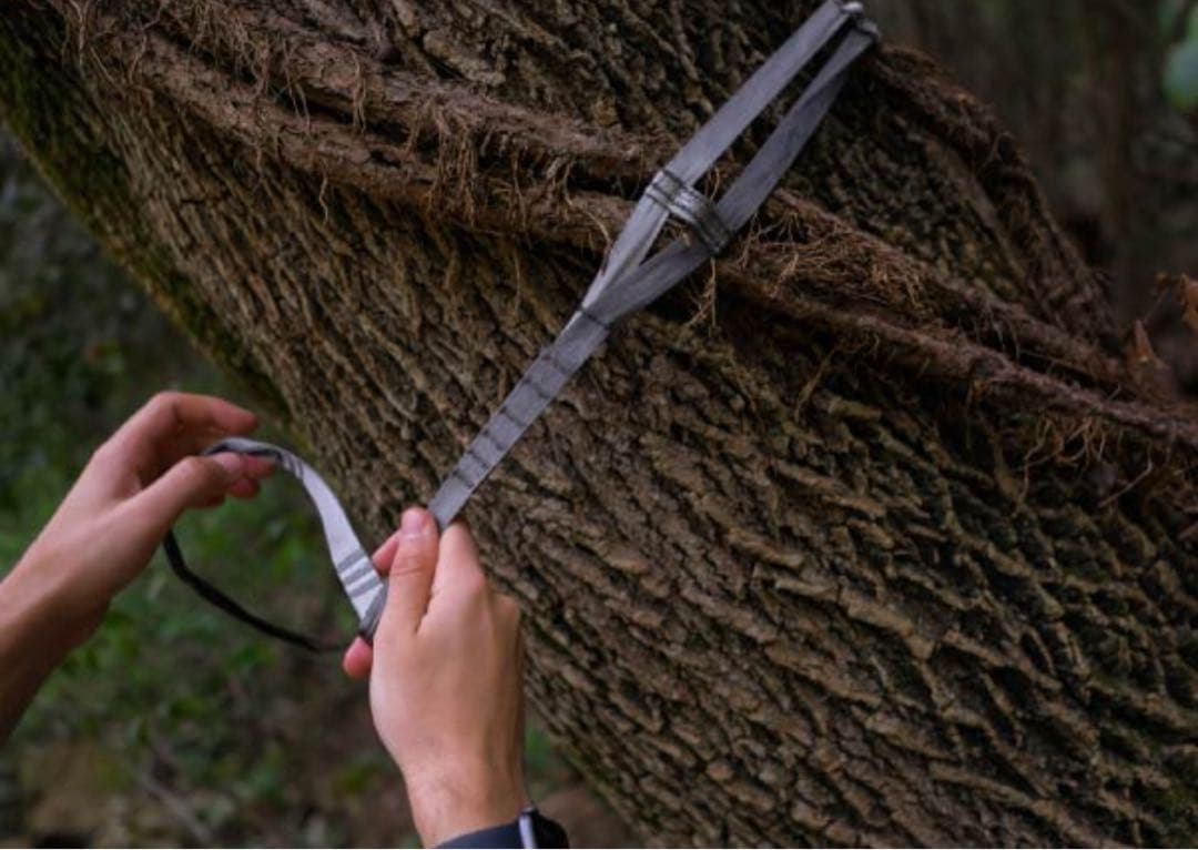 【ニクソン坊や様】RooSingle Dragonfly Pythonセット